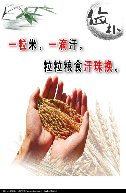 教育部学历证书电子注册备案表打印黑白给可以